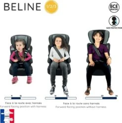 Nania - Autostoel BELINE Animals - Groep 1/2/3 - Meegroeistoel - Van 9 Tot 36 Kg - FLAMINGO -Maxi-Cosi Winkel 1187x1200 3