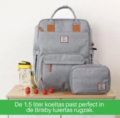 Brisby Slijtvaste Luiertas – Verzorgingstas – Met Buggymontage - Lichtgrijs -Maxi-Cosi Winkel 1200x1177 11