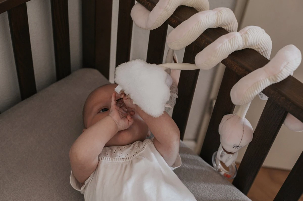 Tryco Zwaan Ivy Boxspiraal TR-243304 6 Tryco Zwaan Ivy Boxspiraal TR-243304 - Image 6