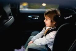 Lionelo Bastiaan - Autostoel - 360° Draaibaar - ISOFIX -Maxi-Cosi Winkel 1200x800 70