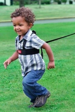 Diono - Sure Steps - Kindertuigje Met Looplijn - Looptuigje Voor Kinderen Van Ca. 1-4 Jaar -Maxi-Cosi Winkel 800x1200 174