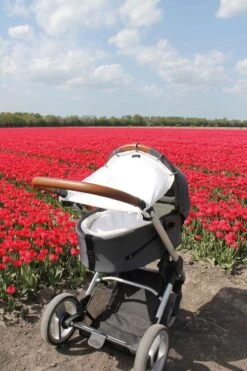 Dooky Universal Cover Zonnescherm Kinderwagen - Crème -Maxi-Cosi Winkel 800x1200 21