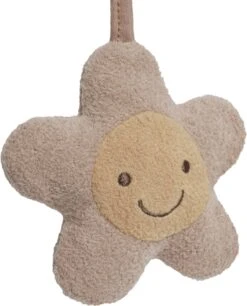 Jollein Wagenspanner - Spring Garden -Maxi-Cosi Winkel 968x1200